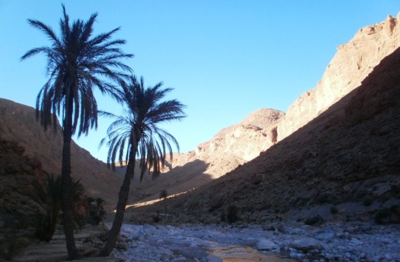 Wąwóz Todra w Maroku. Klimat Indiany Jonesa